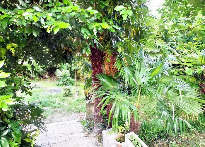 Апартаменты Ive Опатия