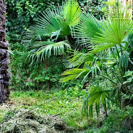 Lägenhet Ive Opatija