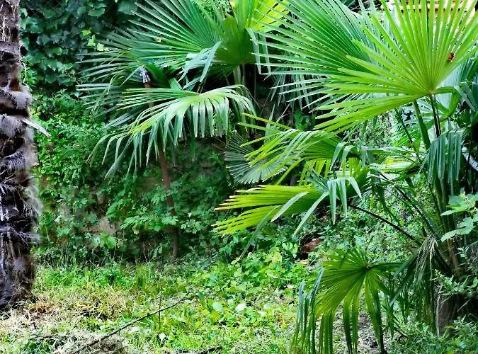 Apartment Ive Opatija